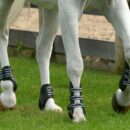 Horse boots