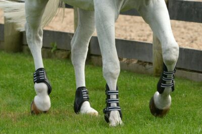 Horse boots