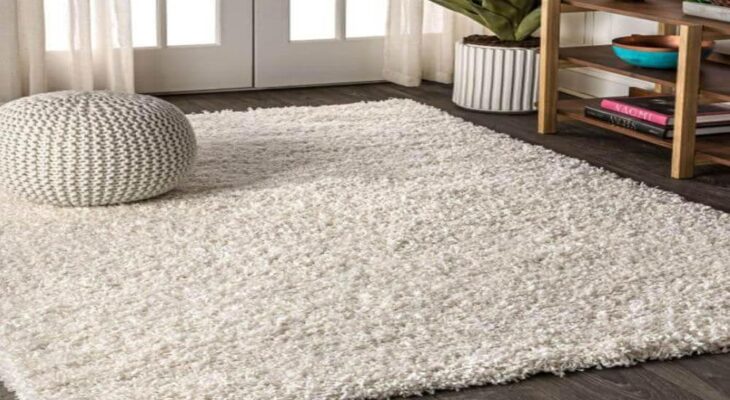 Are Area Rugs the Missing Piece in Your Home Decor Puzzle