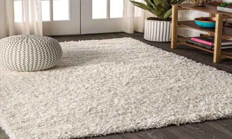 Are Area Rugs the Missing Piece in Your Home Decor Puzzle